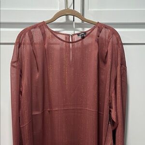 Express Sheer Mauve Blouse